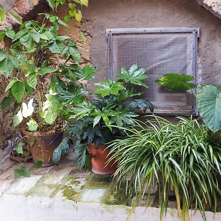 Casa Lujan - Califa Casas Vejer Villa Vejer de la Frontera Eksteriør billede